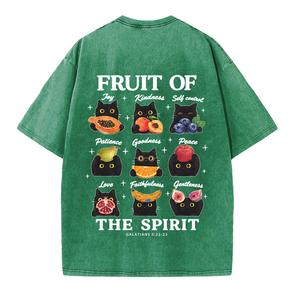 Fruit Of The Spirit Christian Washed T-shirt