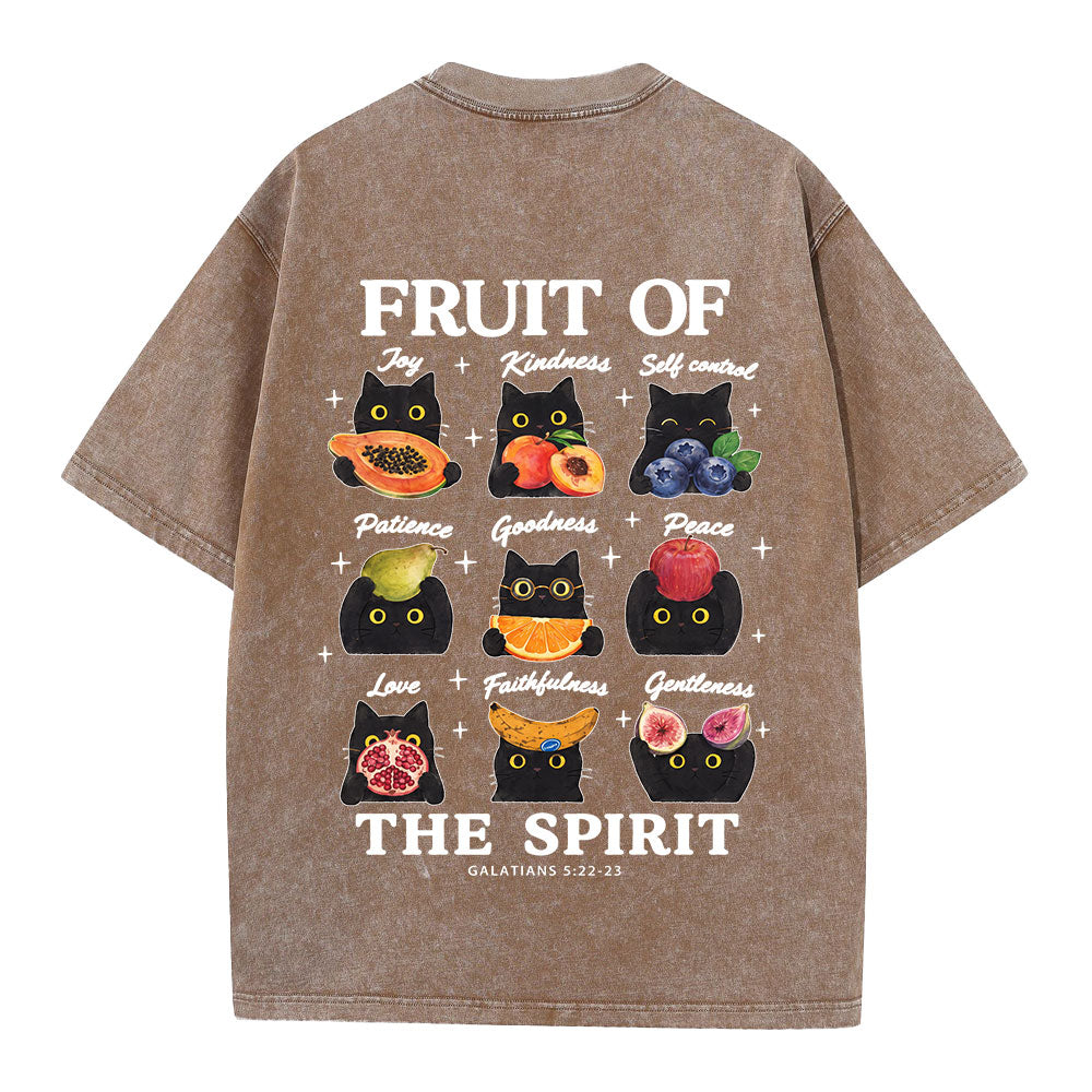 Fruit Of The Spirit Christian Washed T-shirt