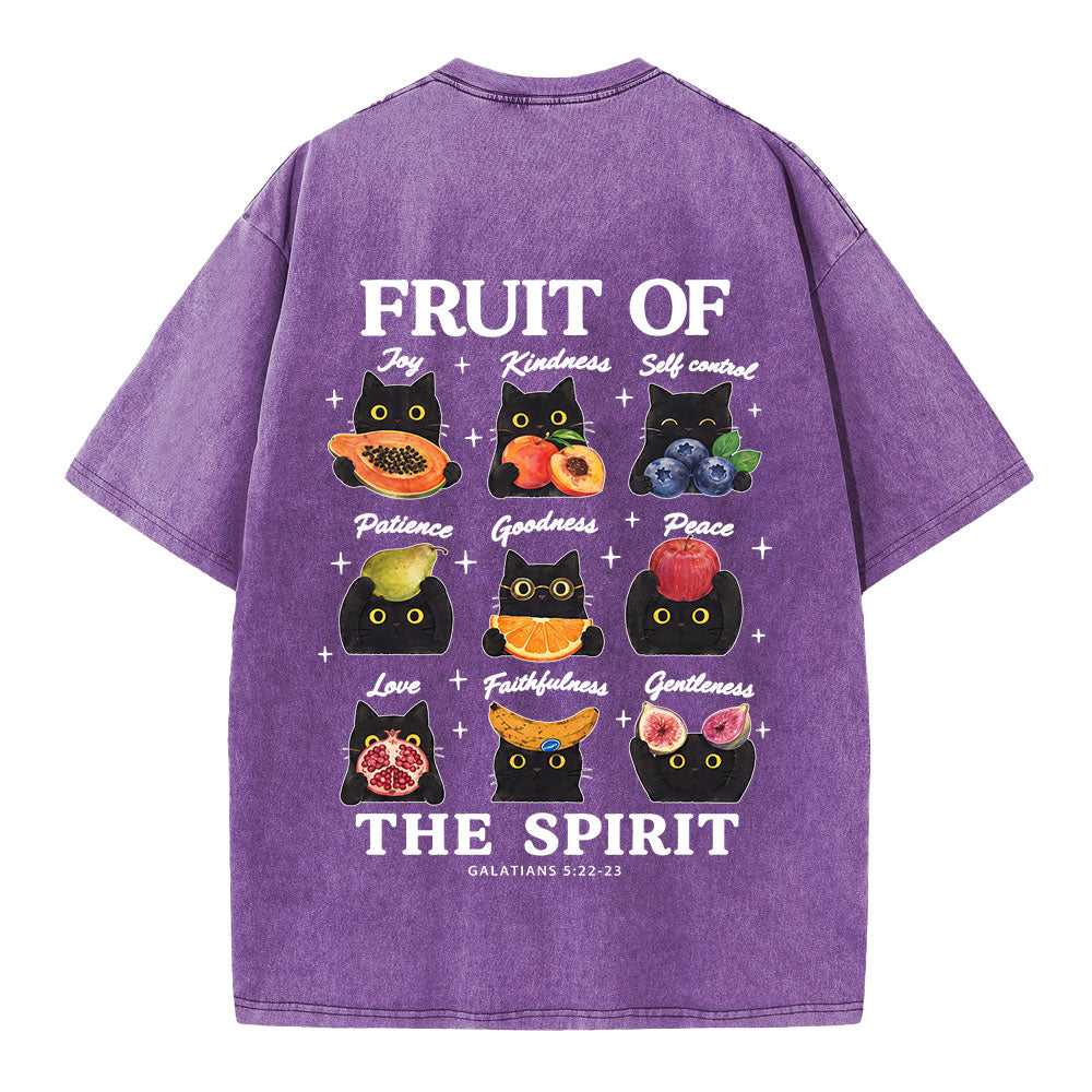 Fruit Of The Spirit Christian Washed T-shirt