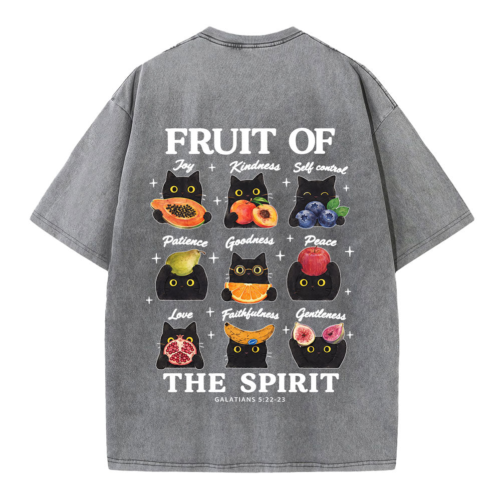 Fruit Of The Spirit Christian Washed T-shirt