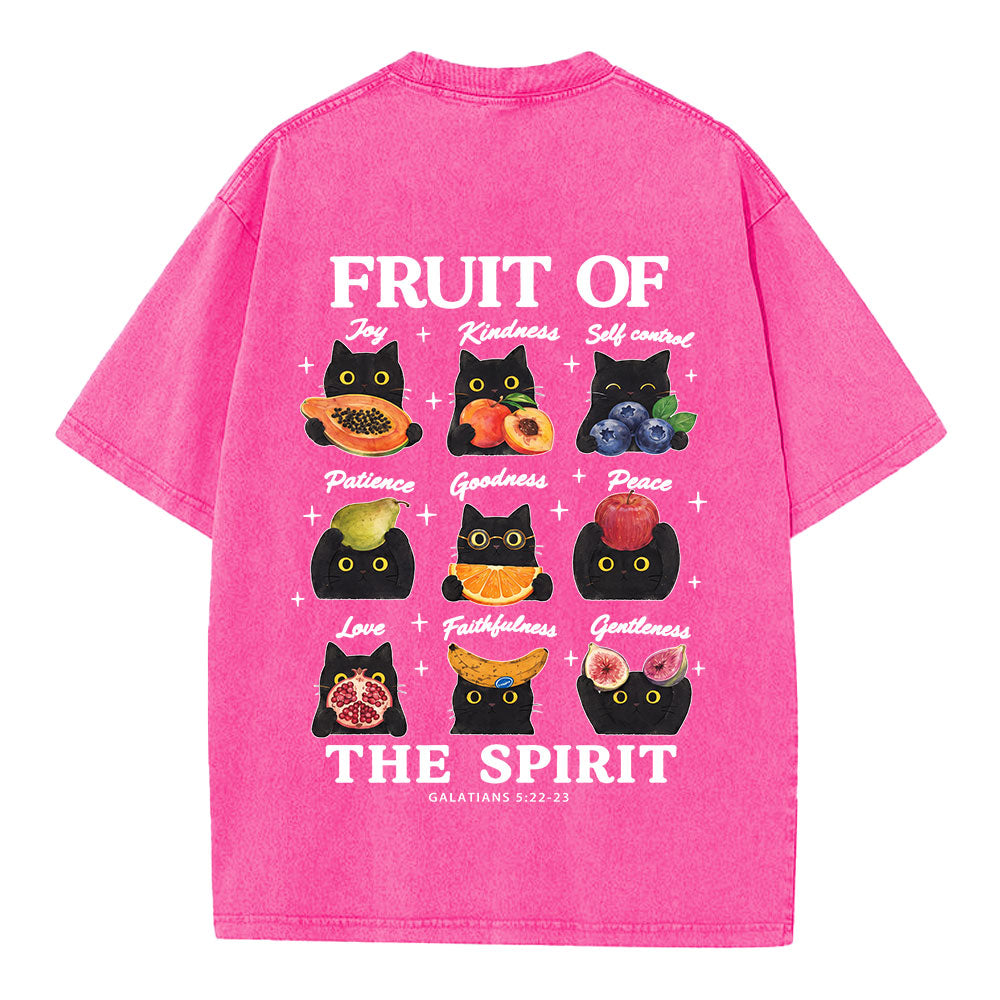 Fruit Of The Spirit Christian Washed T-shirt