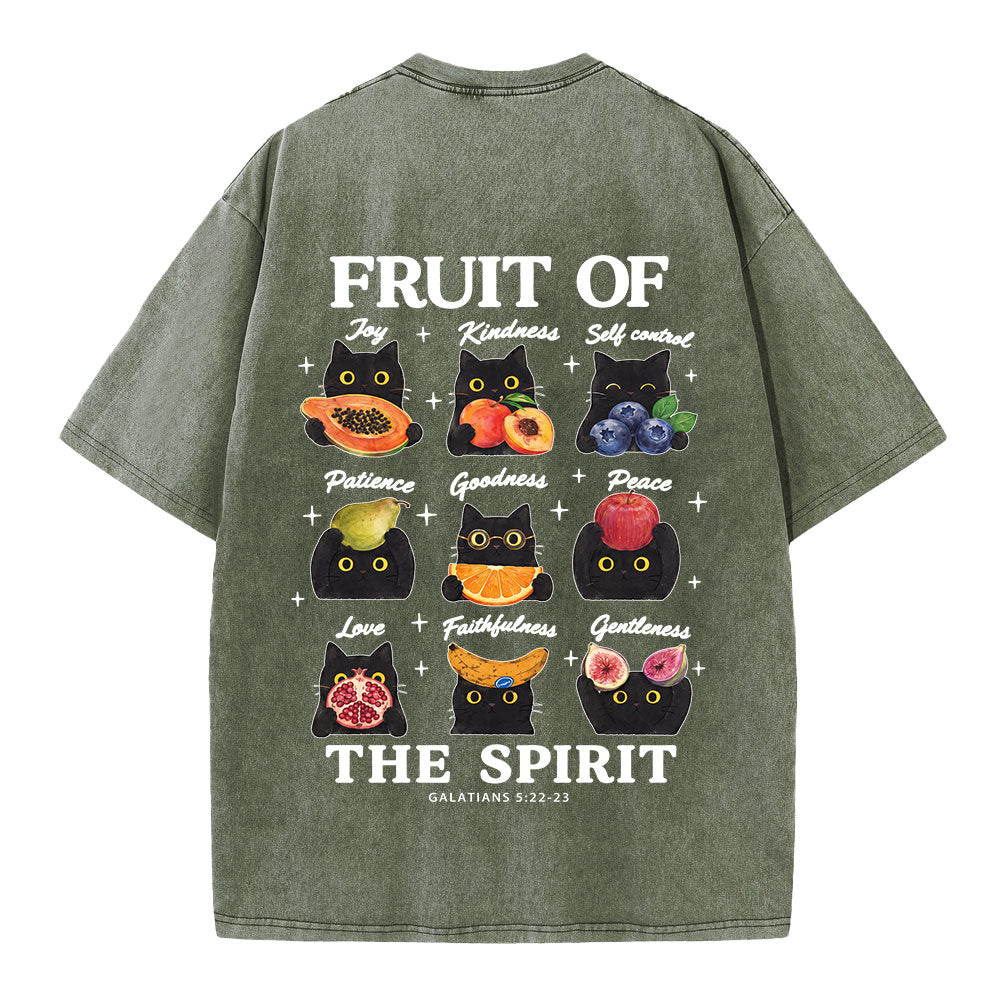 Fruit Of The Spirit Christian Washed T-shirt