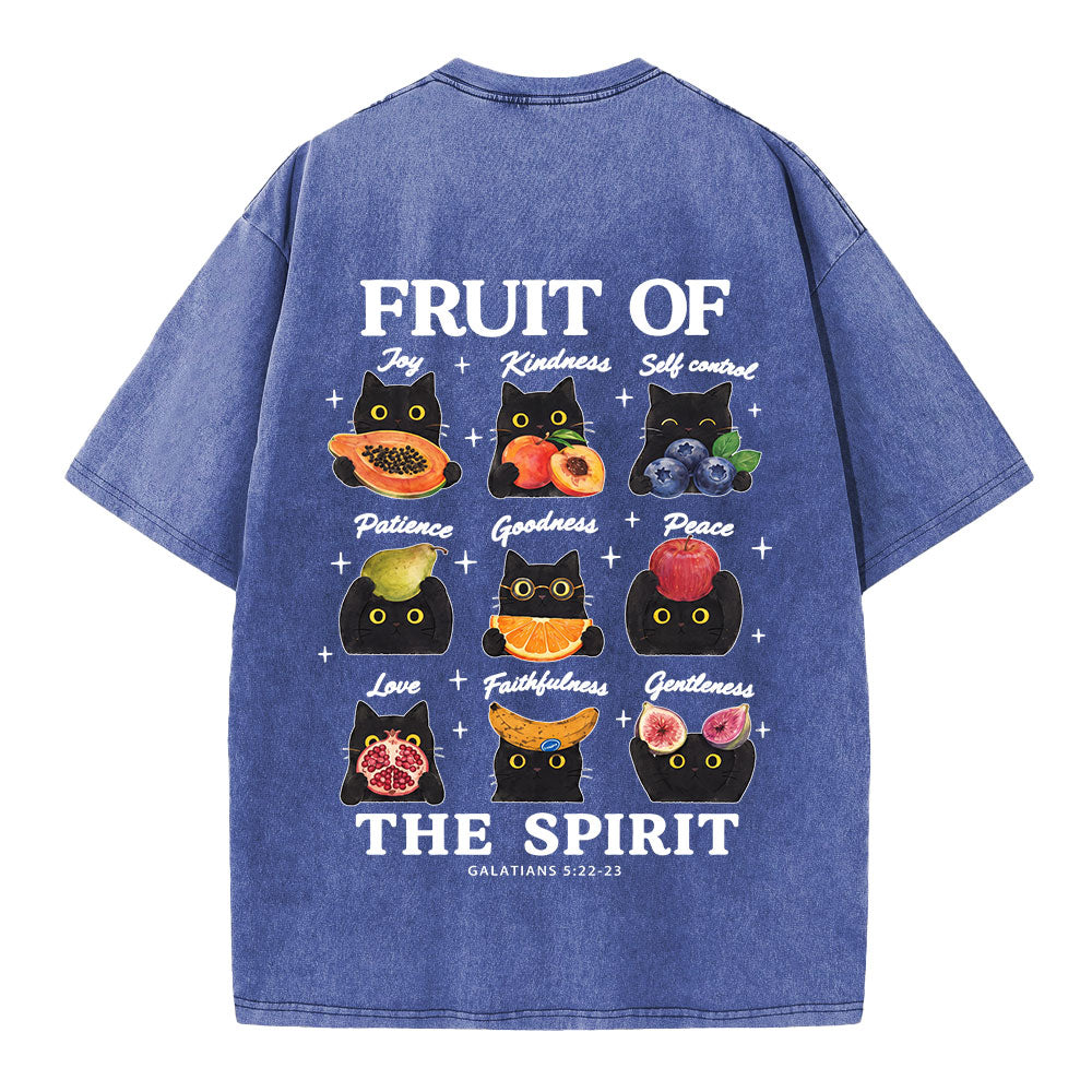 Fruit Of The Spirit Christian Washed T-shirt