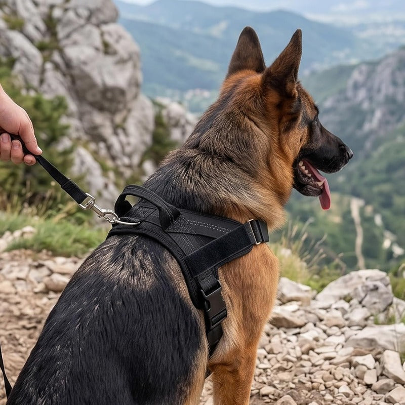 Breathable Mesh No-Pull Harness