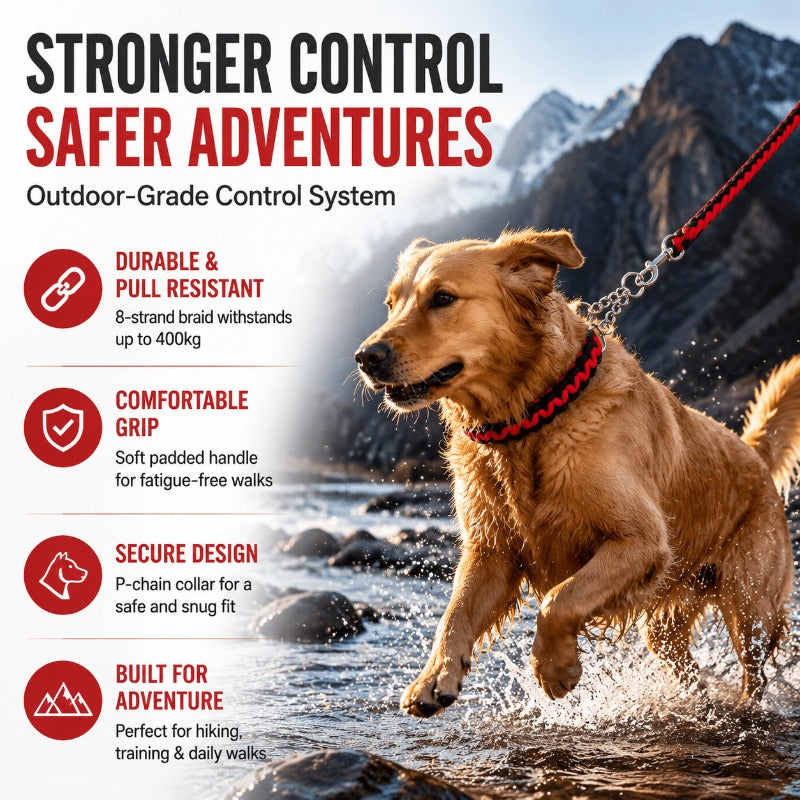 Heavy-Duty 8-Strand Braided Leash