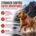 Heavy-Duty 8-Strand Braided Leash