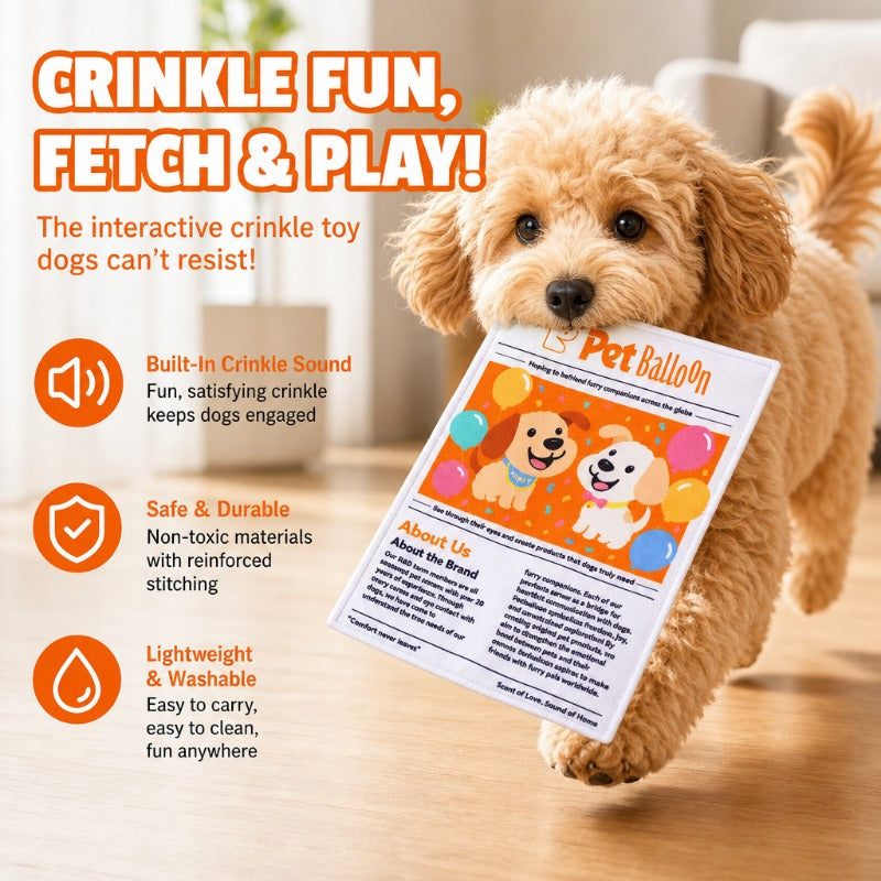 Crinkle Sound Newspaper Toy