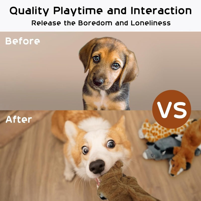 Stuffing-Free Squeaky Dog Toys
