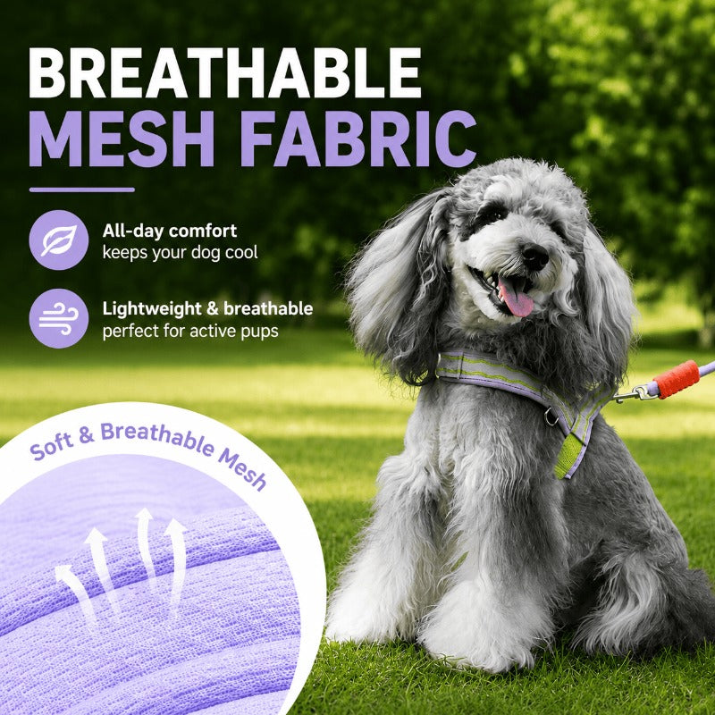 Foam Handle Control Harness