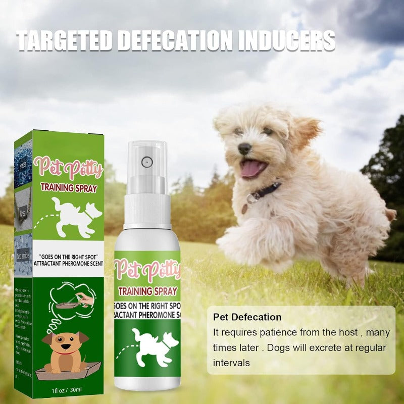 Stress-Free Potty Training Spray