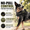 Side-Ring Gentle Guidance Harness