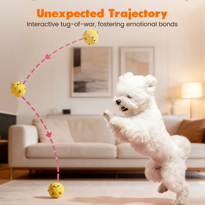 Squeaky Bouncy Dog Ball Toys