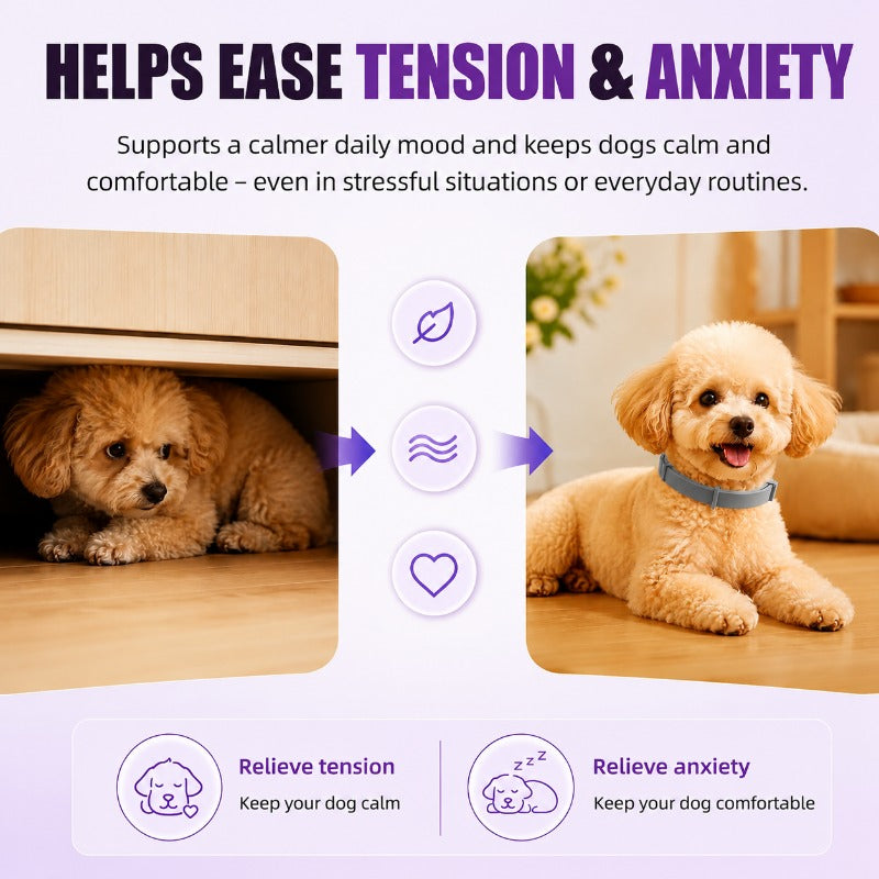 Safe Anxiety-Relief Flea Collar