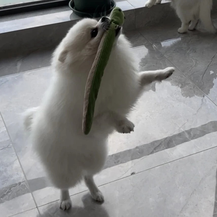 Interactive Plush Snake Toy