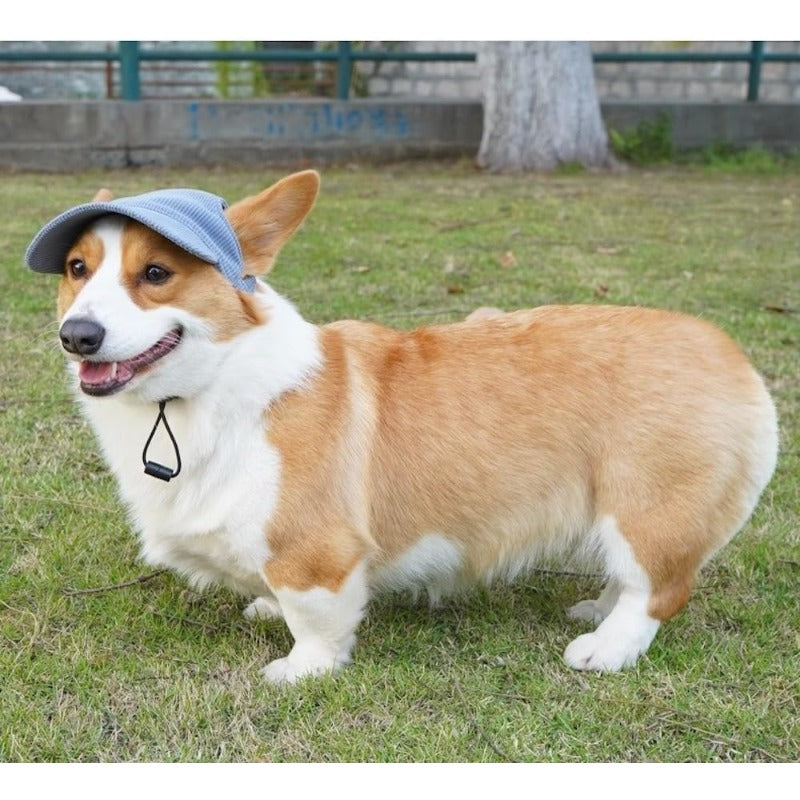 UV Blocking Pet Sunhat