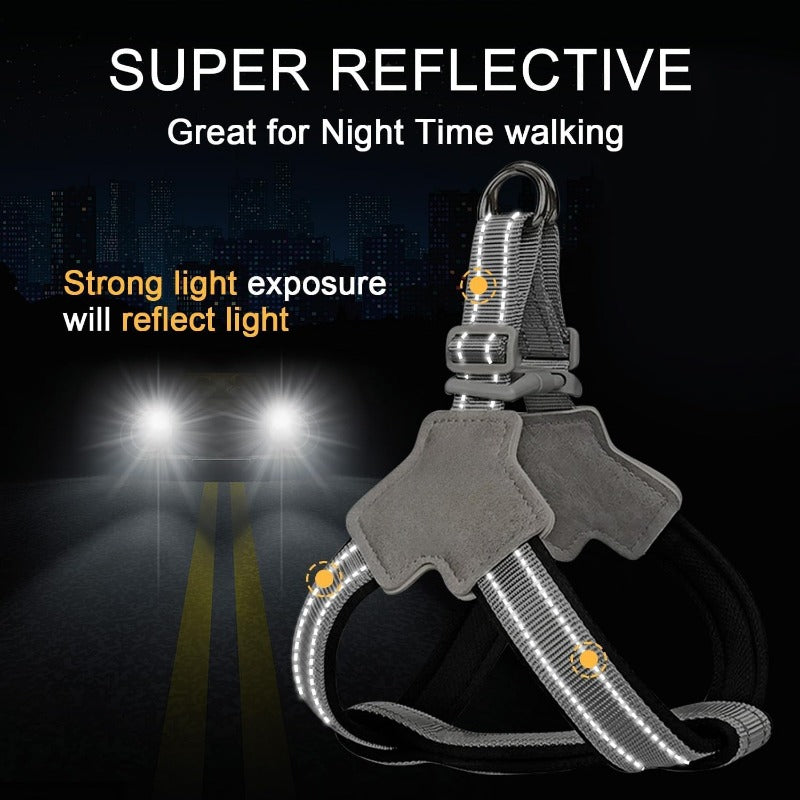 Safe Night Walk Essentials