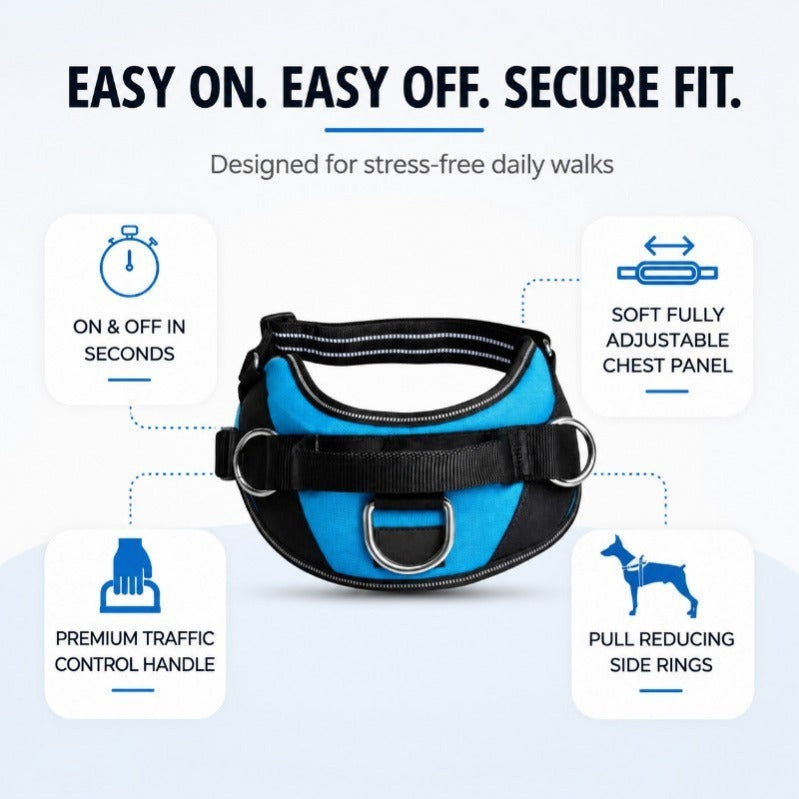 Side-Ring Gentle Guidance Harness