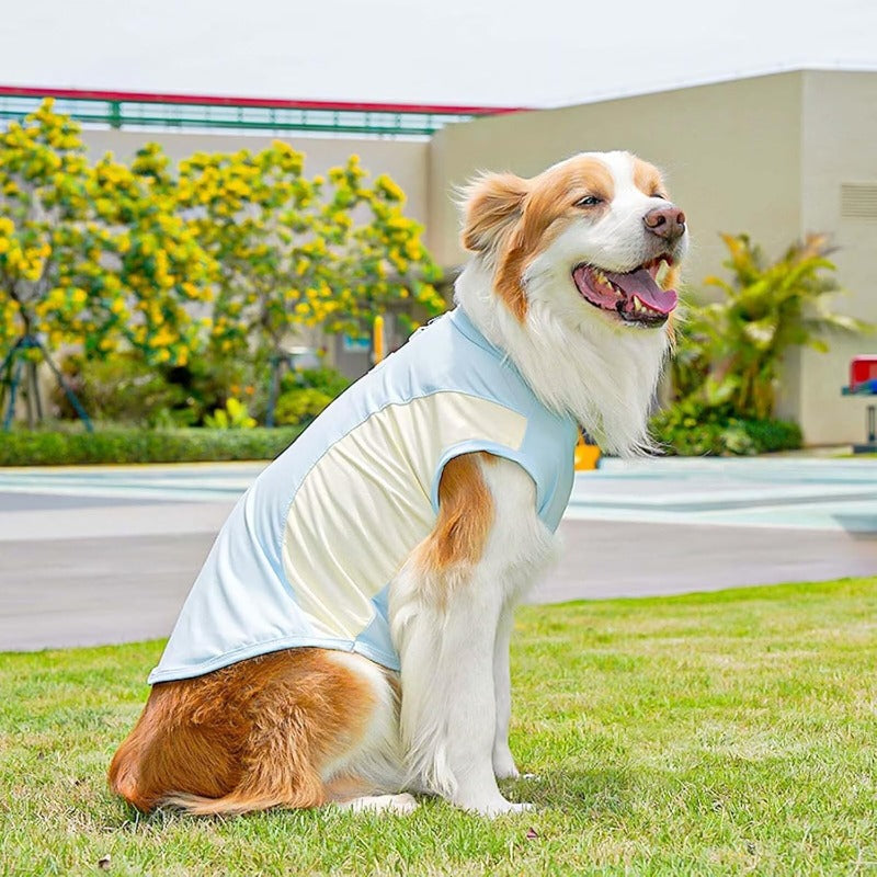 Ice Silk Cooling Pet Vest