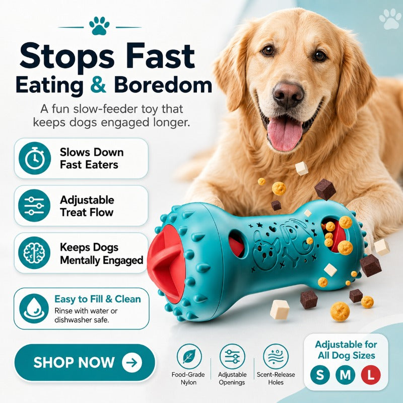 Interactive Treat Puzzle Toy
