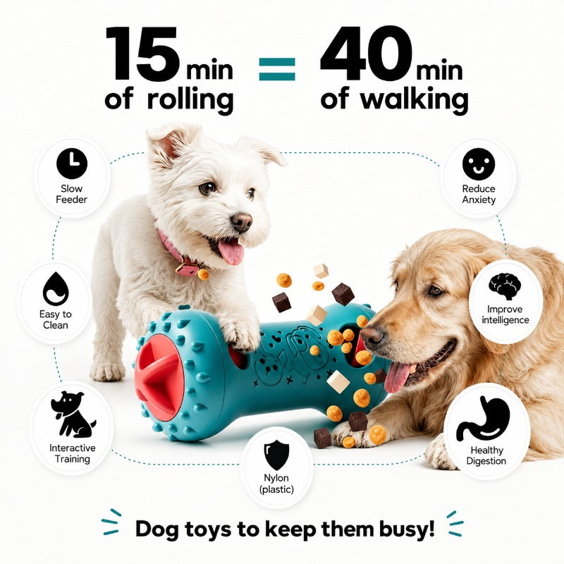 Interactive Treat Puzzle Toy