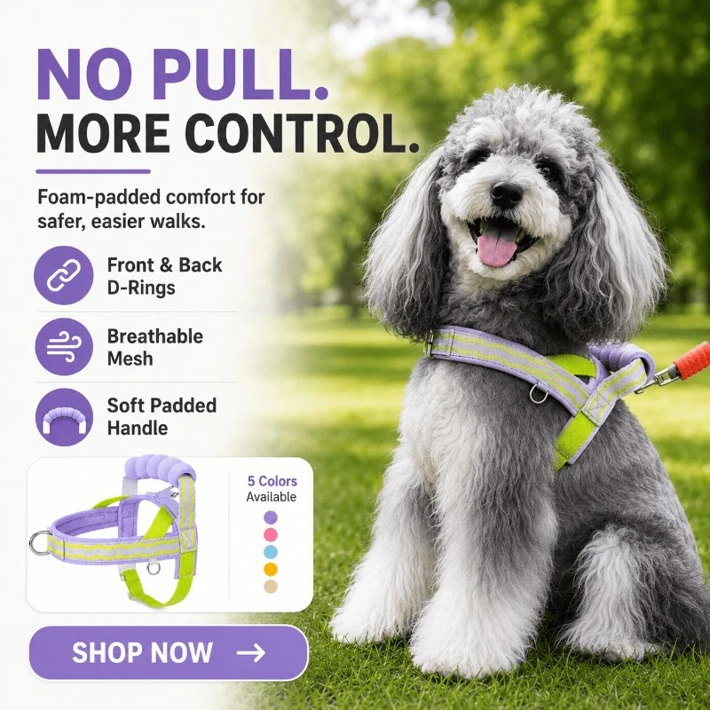 Foam Handle Control Harness