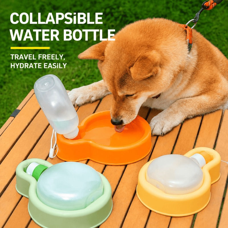 Compact Folding Pet Hydrator