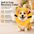 Anti-Lick Soft Pet Cone