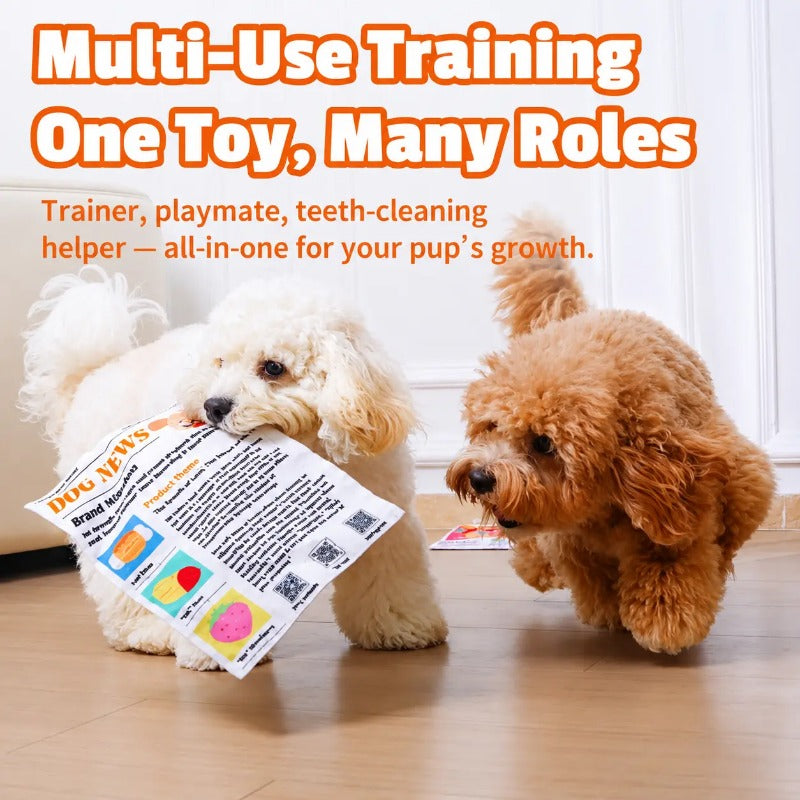Crinkle Sound Newspaper Toy