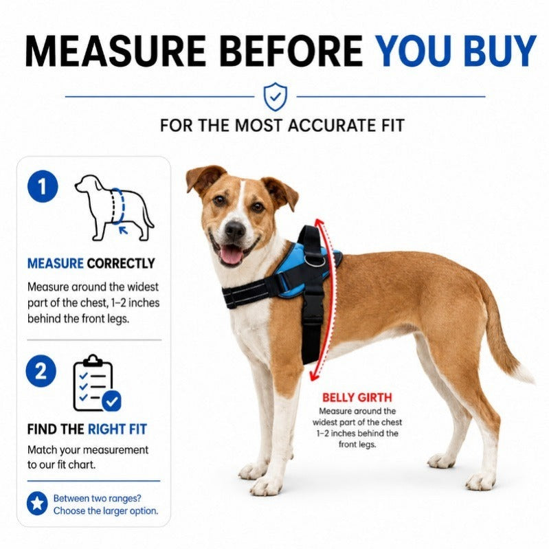 Side-Ring Gentle Guidance Harness