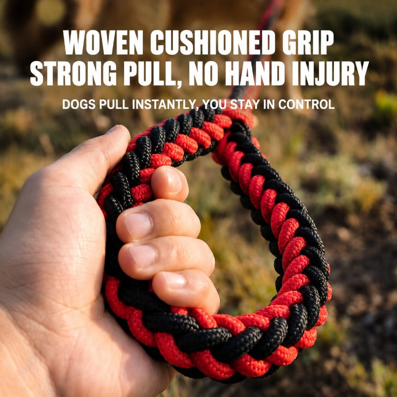 Heavy-Duty 8-Strand Braided Leash
