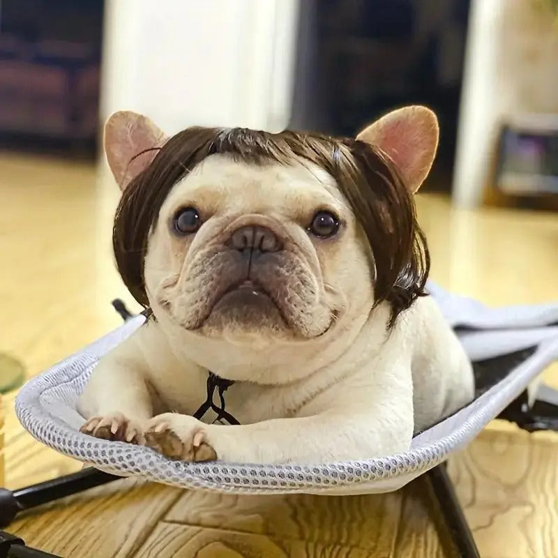 Customizable Trim-to-Fit Pet Wig