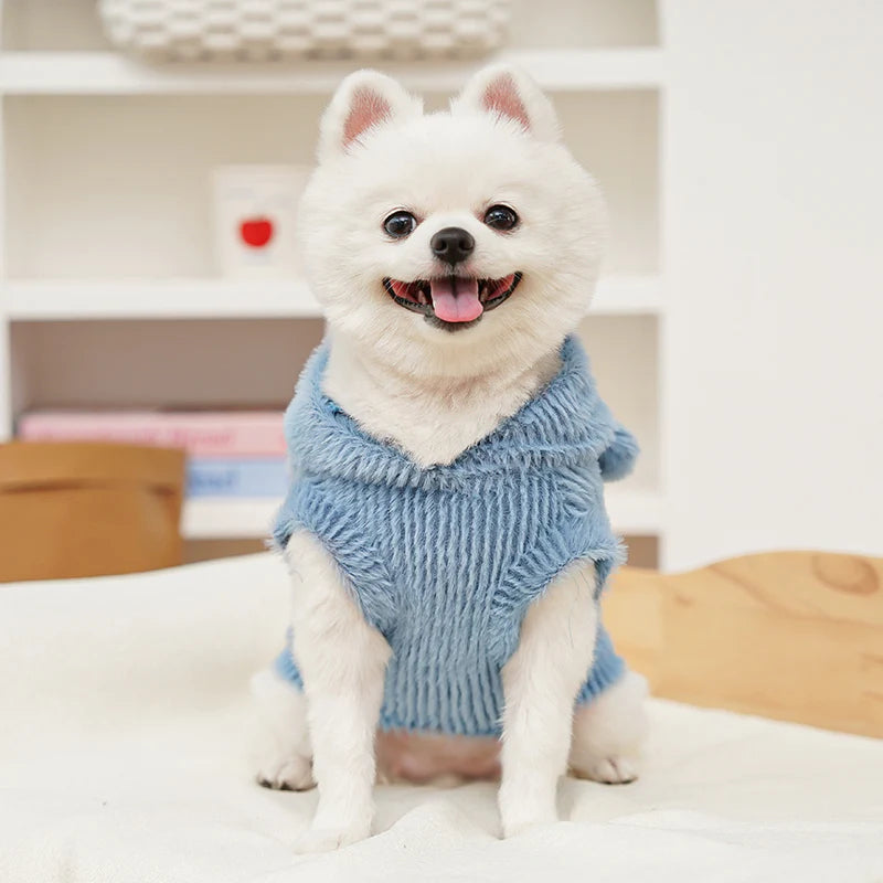 Cartoon Fleece Pet Hoodie