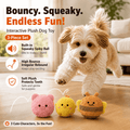 Squeaky Bouncy Dog Ball Toys