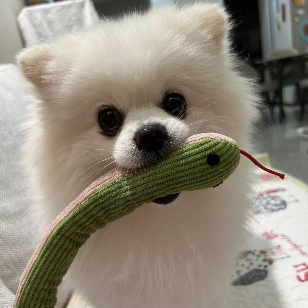 Interactive Plush Snake Toy