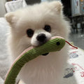 Interactive Plush Snake Toy