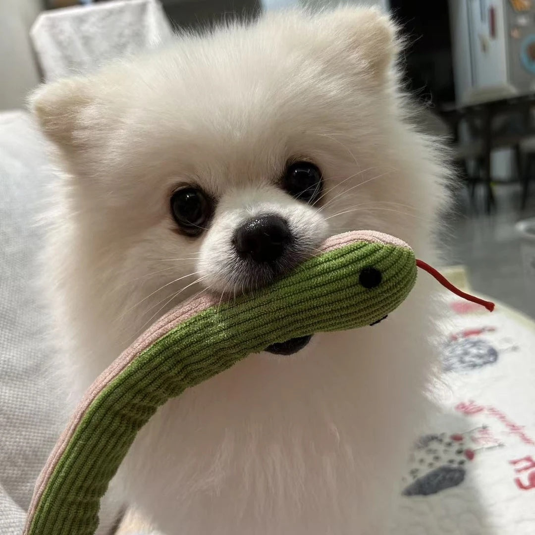 Interactive Plush Snake Toy