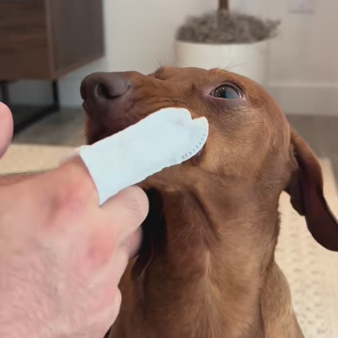 Natural Pet Dental Finger Wipes