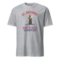 St. Anthony (Hide and Seek Champion) - T-Shirt